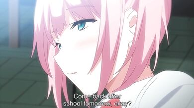 Fuuki Iin to Fuuzoku Katsudou