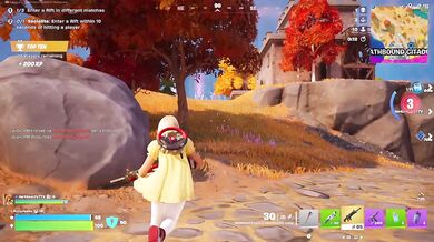 Fortnite Blitz: Duo 1