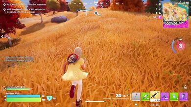 Fortnite Blitz: Duo 1