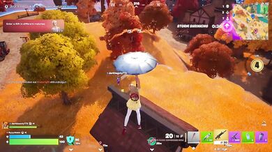 Fortnite Blitz: Duo 1