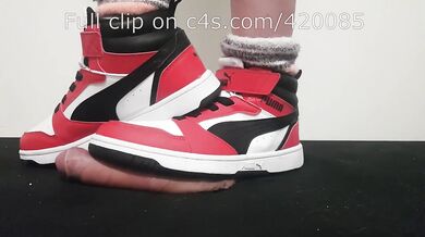 LittleShoes - Preview Cock Crush Puma Hi-Tops | Size 34