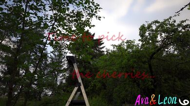 Picking cherries on a ladder - Pervert neighbor eats the soul out of my pussy
