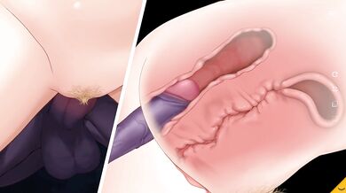 A 3D hentai game in which many monsters fuck an elven pussy.