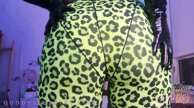 Showing Off Leopard Spandex - Ass Worship, Webcam, PVC - Goddess Marley