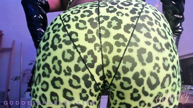 Showing Off Leopard Spandex - Ass Worship, Webcam, PVC - Goddess Marley
