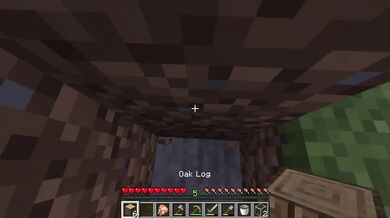 Minecraft Teil 2 beginn baue des haus
