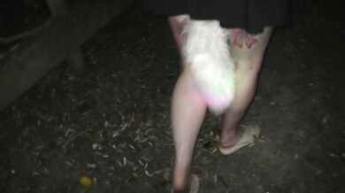 Very public walk with bright lights tail butt plug at the beach. We talk to passers by