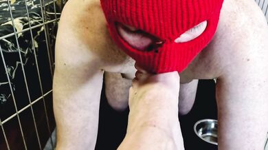 Domina Nika allows the slave to crawl out of the cage so that he kisses, licks her feet, sucks toes