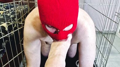 Domina Nika allows the slave to crawl out of the cage so that he kisses, licks her feet, sucks toes