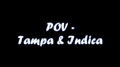 POV - Tampa & Indica