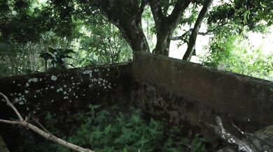 public blowjob outdoor busty latina