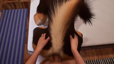 Midnight Paws & Purrs (Wild Life)