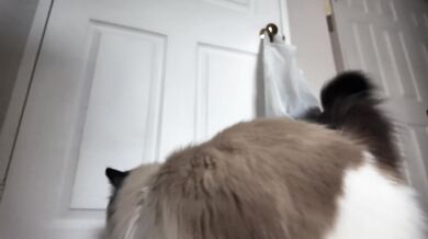 STOP WATCHING. FUCK ME INSTEAD. (POV) - 别看片了，直接内射我