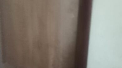 I masturbate and put my fingers in my vagina at work
