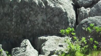 Mountain Ecstasy – Part 1: Pre-Cum Dripping, Gaze-Induced Throb & Taste