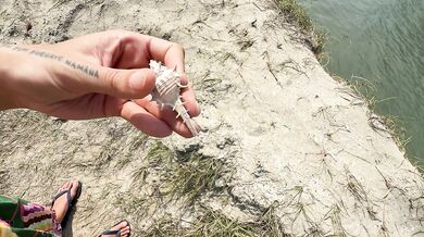 These snails are very perfect