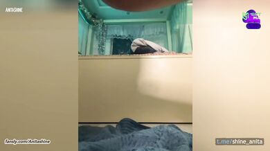 ANAL DILDO RIDE with squirt and blowjob in bath