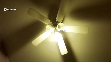 Stay Cool and Stylish with the Sleek Sears 1999 Ceiling Fan