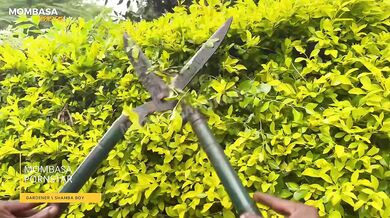 Horny Petite Boss Wife Fucked By A Thirsty Naughty Gardener While Husband Was Away