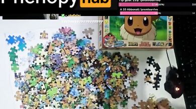 Eevee Puzzle, 4 hour in 10 minutes