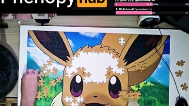 Eevee Puzzle, 4 hour in 10 minutes