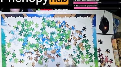 Eevee Puzzle, 4 hour in 10 minutes