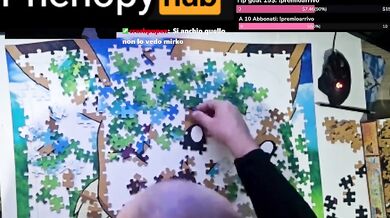 Eevee Puzzle, 4 hour in 10 minutes