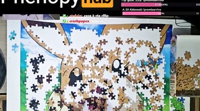 Eevee Puzzle, 4 hour in 10 minutes