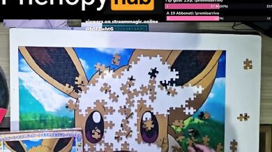 Eevee Puzzle, 4 hour in 10 minutes