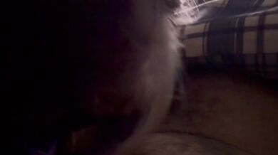 Amatuer blowjob mouth creampie