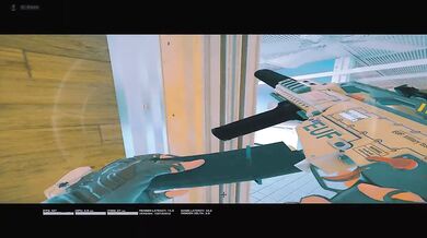 Raw Siege Clips