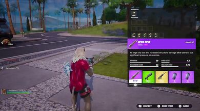 Fortnite Blitz: Duo Win 4