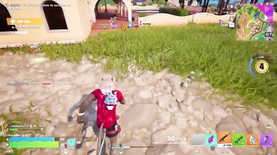 Fortnite Blitz: Duo Win 4