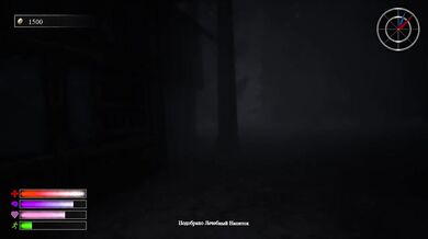 I found her in an abandoned mansion and showed her what pleasure is. 3D