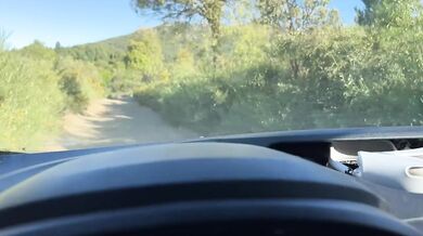 A stranger offered me a ride but then fucked me in the bushes