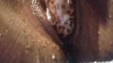 Compilation-Orgasmic Pussy