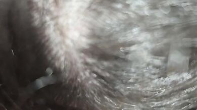 Big Dick Swallowing Raw Pussy Flesh