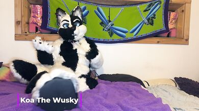 Furry Love - Cliff Media Productions