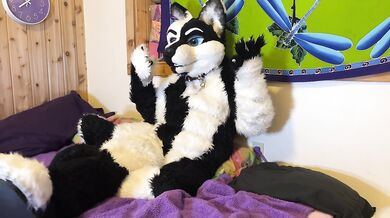 Furry Love - Cliff Media Productions