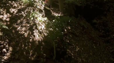 Panting forest ecstasy fuels urgent, kinky cock and pussy plays