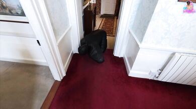 Training Zero - Zero Sees Our New House for the First Time! Bitchsuit Femdom Slave Tour