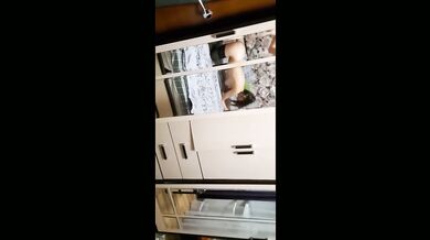 Bare skin ignites during forbidden babysitter sex