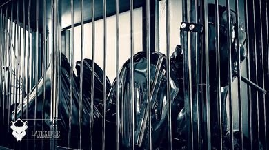 Full Day Enclosure Latex Puppy Play - Part 1