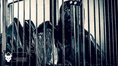 Full Day Enclosure Latex Puppy Play - Part 1