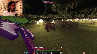 The Forgotten Forest Beneath the Bedrock