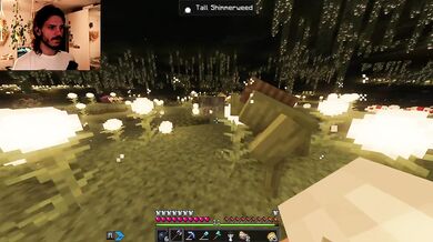 The Forgotten Forest Beneath the Bedrock
