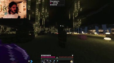 The Forgotten Forest Beneath the Bedrock