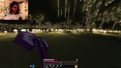 The Forgotten Forest Beneath the Bedrock
