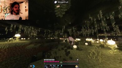 The Forgotten Forest Beneath the Bedrock