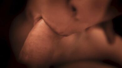 Little Lips Begs With Fierce Close-Up Blowjob